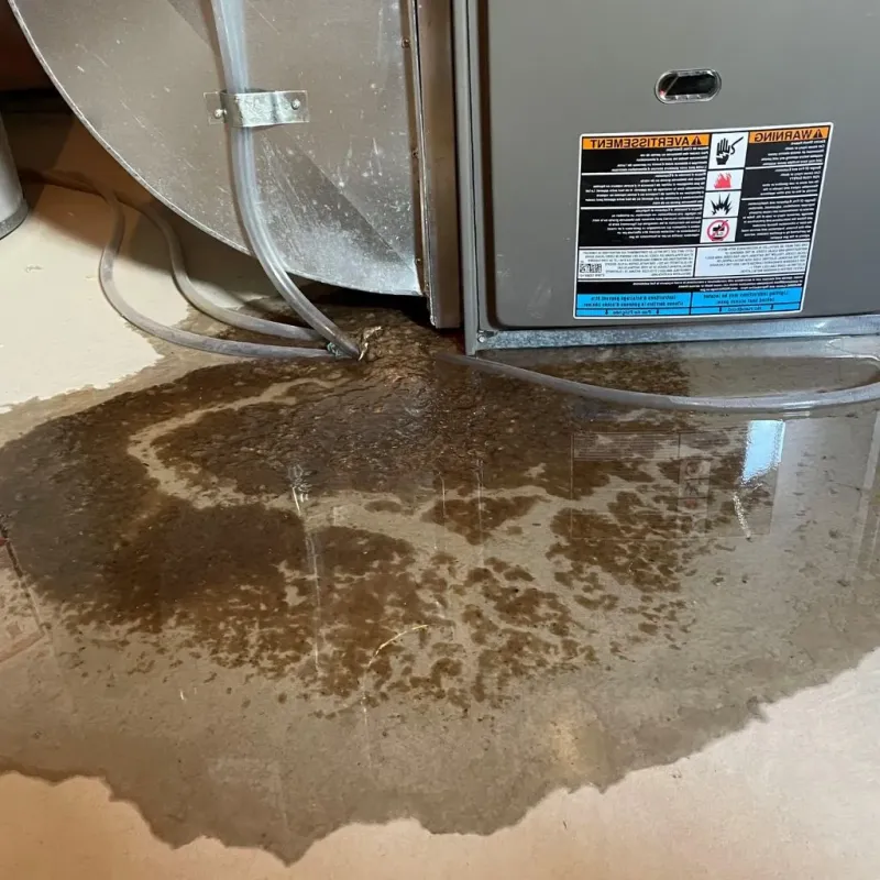 Pipe Burst and Leak Restoration in Menifee County, KY
